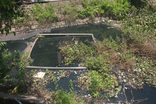 Hội[-]An:[-]Nước[-]dưới[-]chân[-]Chùa[-]Cầu[-]ô[-]nhiễm[-]nặng